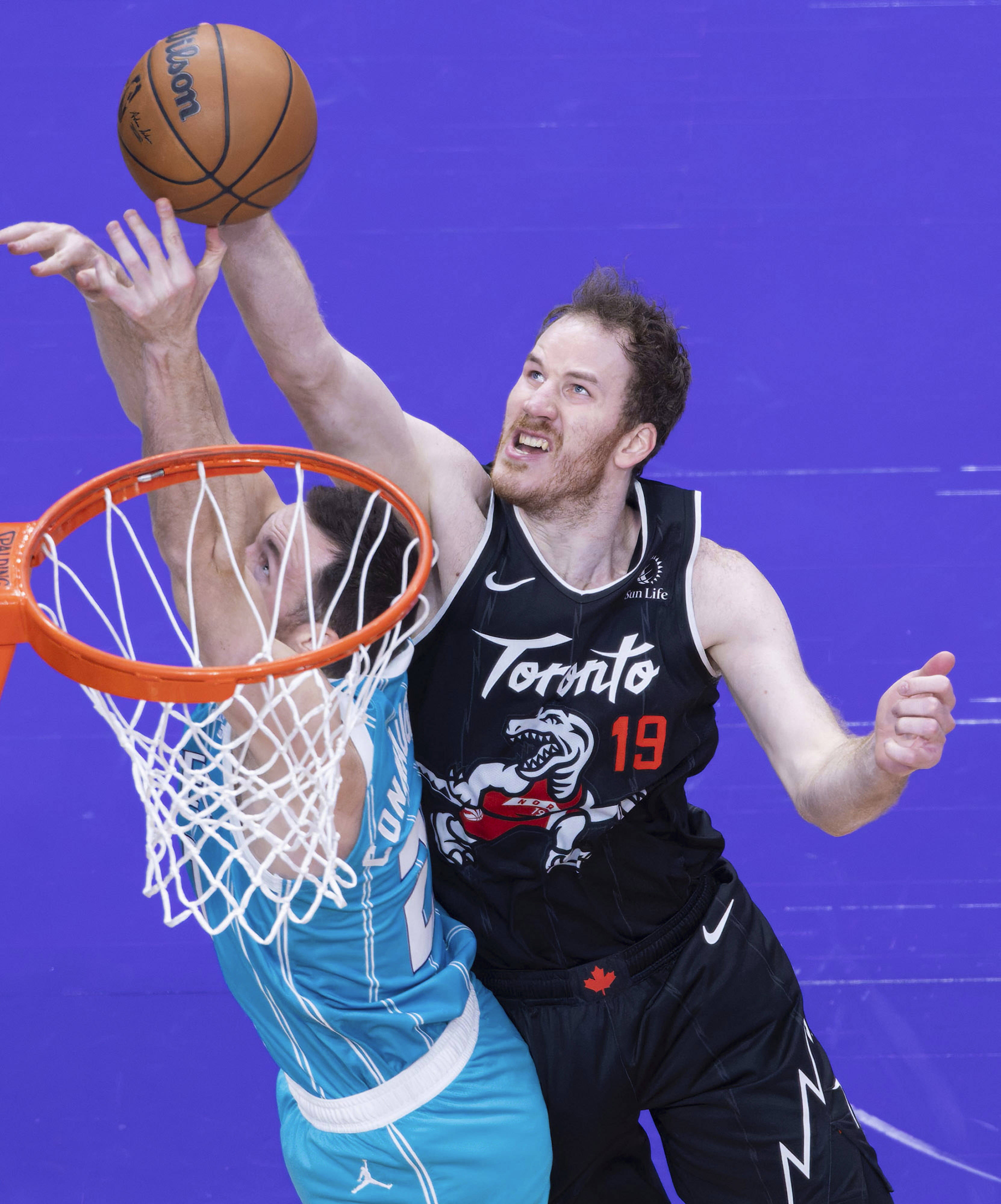 （体育）篮球——NBA常规赛：猛龙胜黄蜂